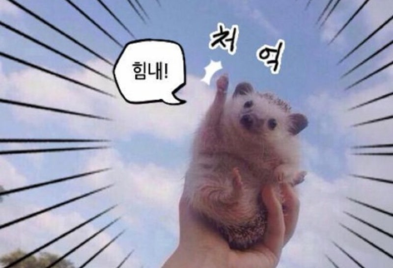 14. 훌륭한 멘티가 되는 법