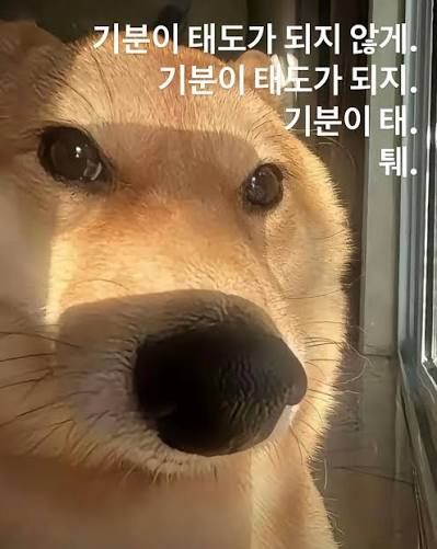 28. 기분이 태도가 되어서는 안 된다