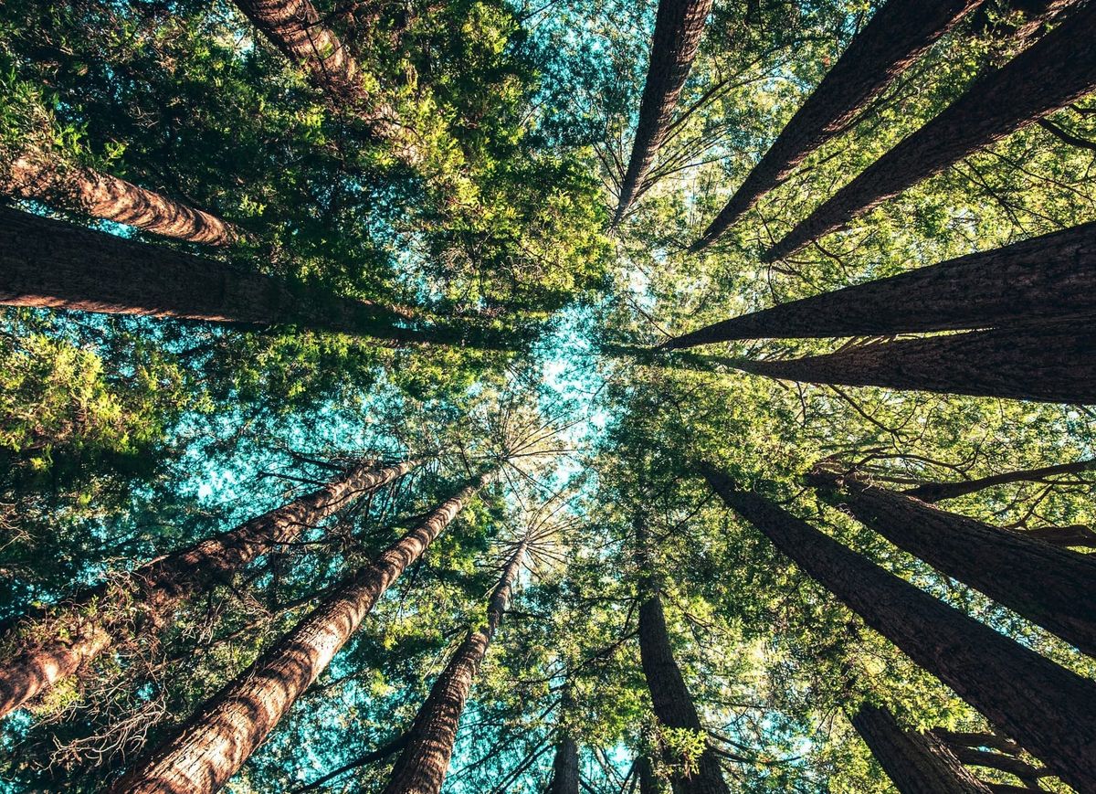 February Community of Practice Gathering--Wednesday 2/18 at 4pm Pacific/7pm Eastern