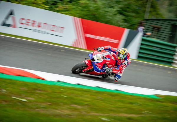 BSB ' Summer Party in the Park '