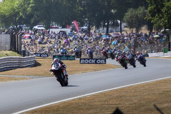 Redding VS Ryde - Crowning the King of Brands