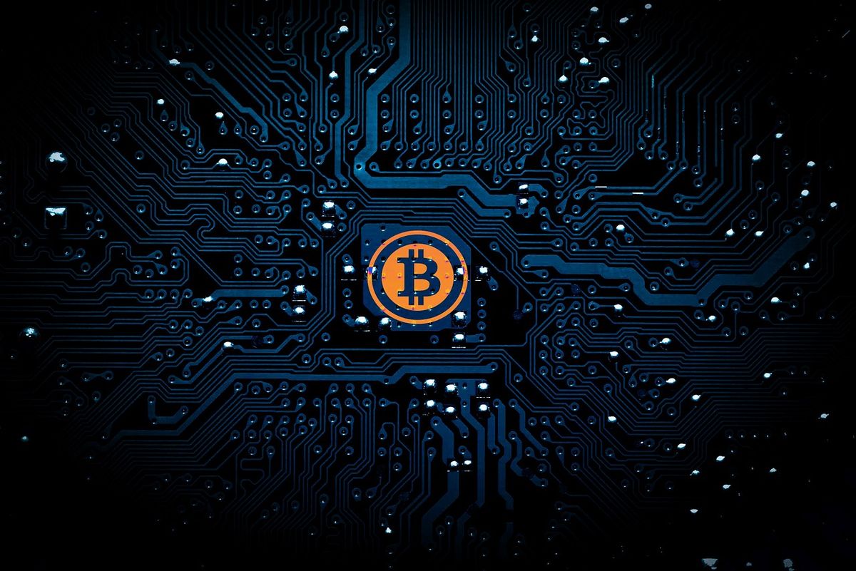 Survey Results: 46 Percent of Tech Workers Will Not Report Cryptocurrency Gains to the IRS