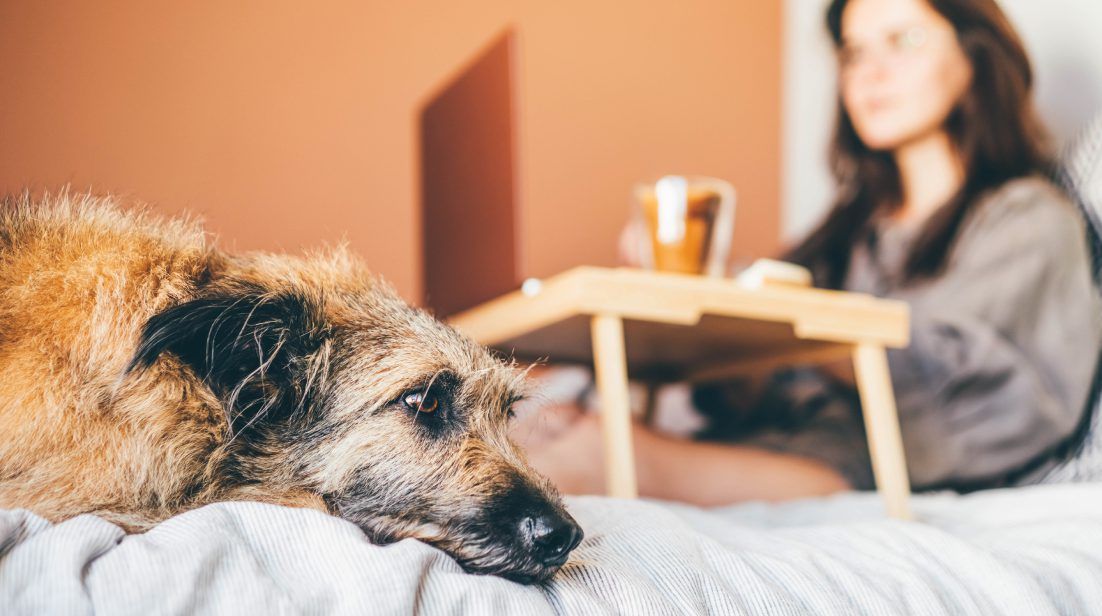 Despite Feelings Of Lonliness, 45% Of Professionals Want To Work Remotely All Of The Time