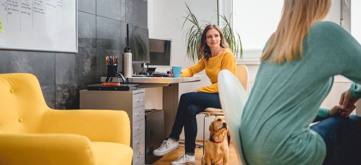 Pet-Friendly Offices Re-openings?