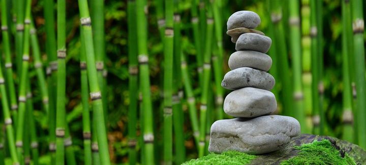 10 Ways to Embrace Wellness in the Workplace
