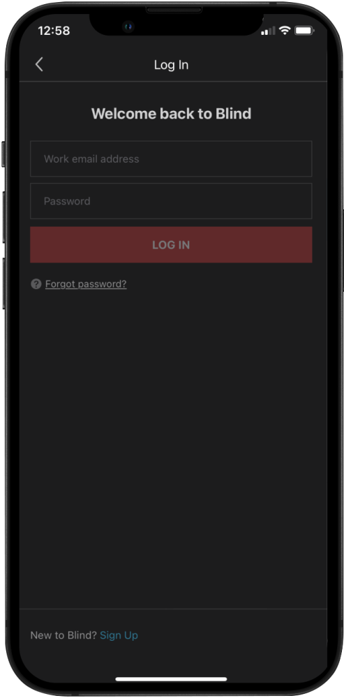 04 How to use Blind - Log In