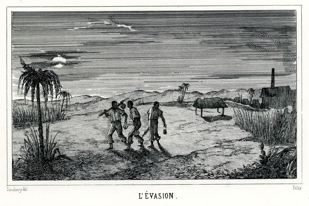 Le servis kabaré : le mythe des hauts et la vérité du camp