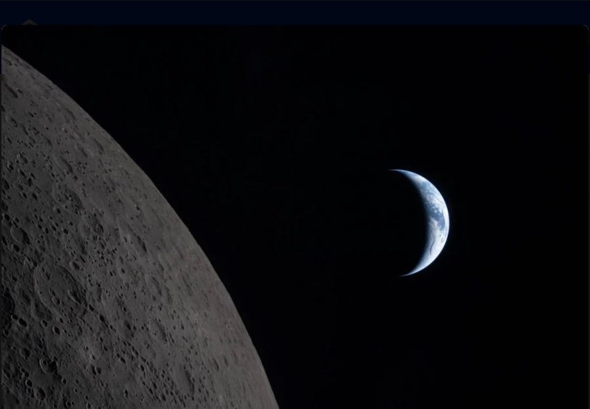 Le Paradoxe de l’Espèce Humaine