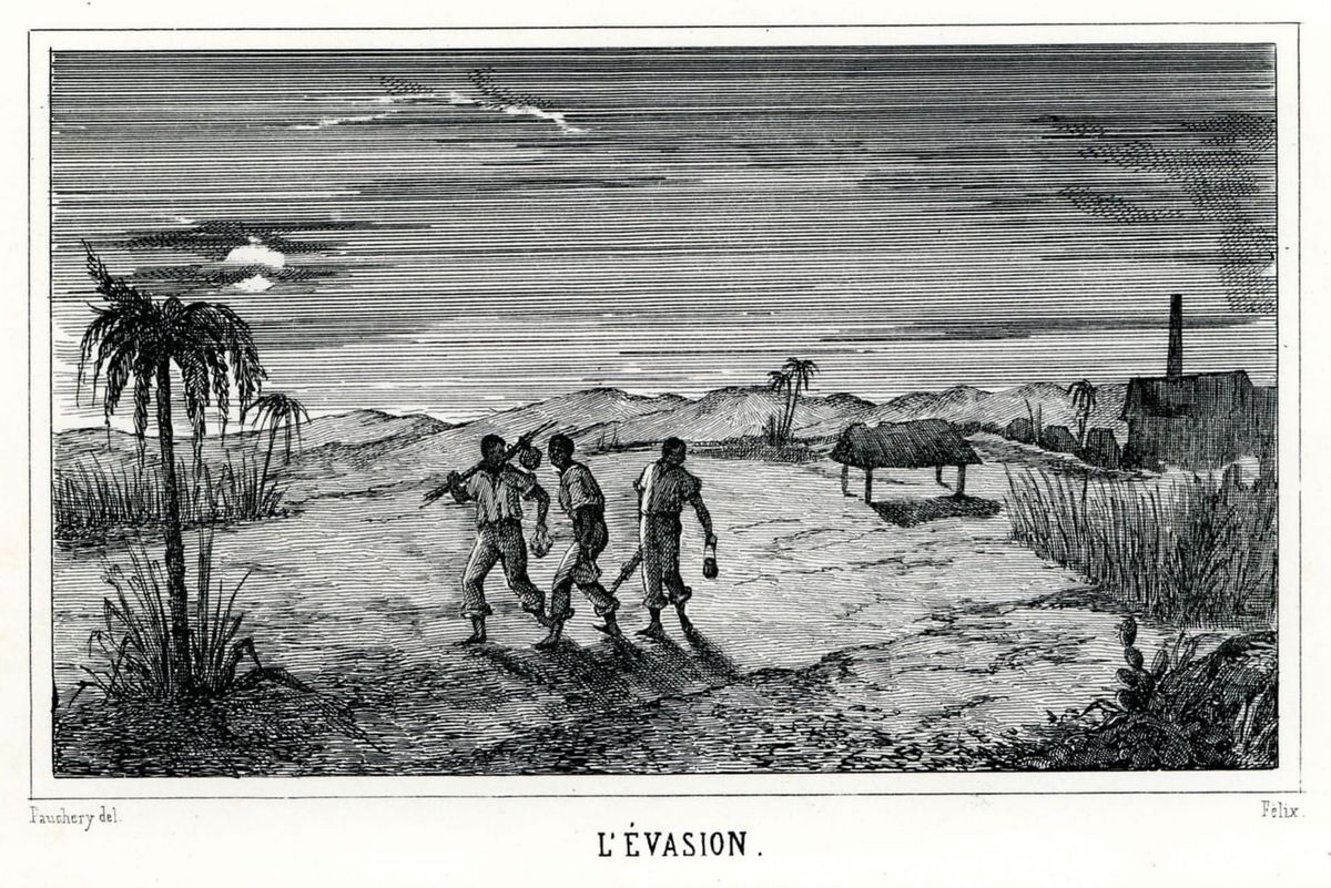 Le servis kabaré : le mythe des hauts et la vérité du camp