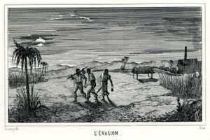Le servis kabaré : le mythe des hauts et la vérité du camp