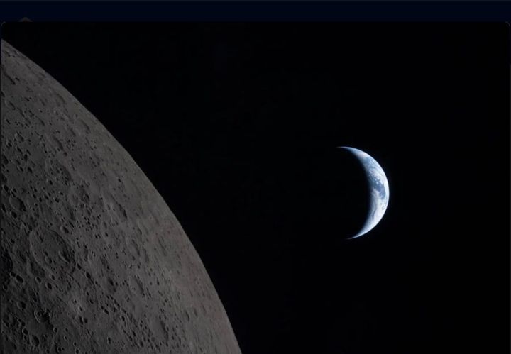 Le Paradoxe de l’Espèce Humaine