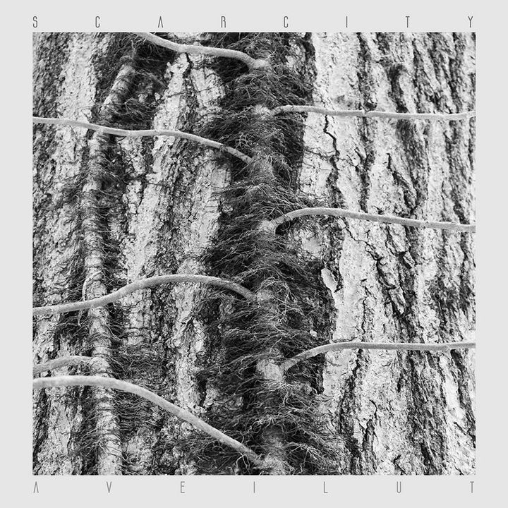 Review: Scarcity – Aveilut