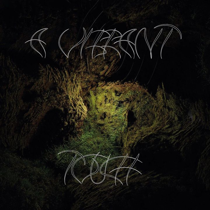 Review: Aleksandra Słyż – A Vibrant Touch