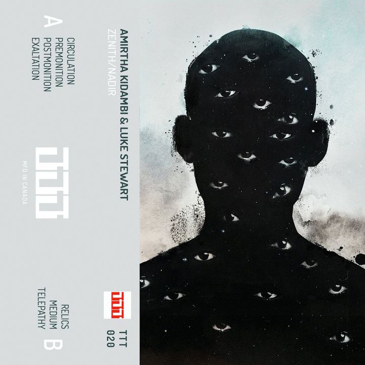 Review: Amirtha Kidambi + Luke Stewart – Zenith/Nadir