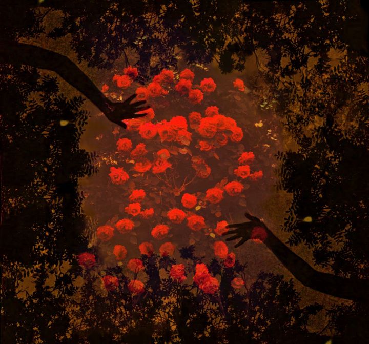 Review: Secret Flight – S/T