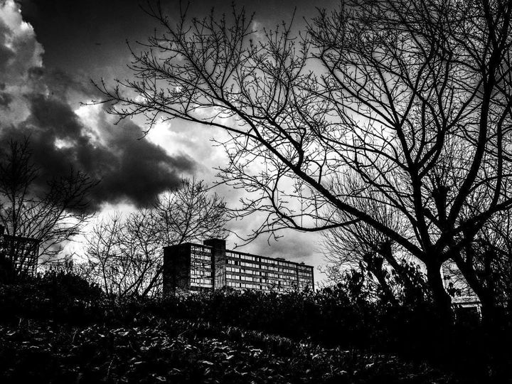 Crucial Listening #146: Dhangsha