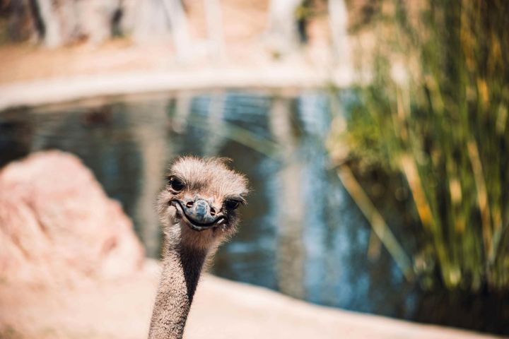 No More Excuses: How to Build Consistent Learning Disciplines