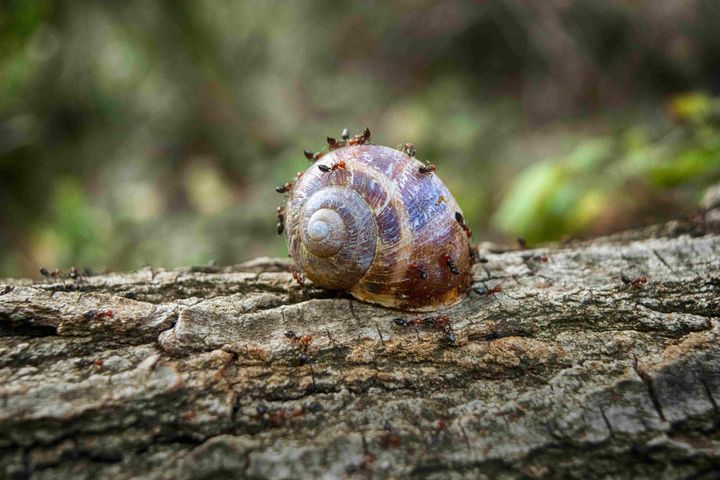 It’s All the Same Work: Why Complexity Grows with People, Not Tasks