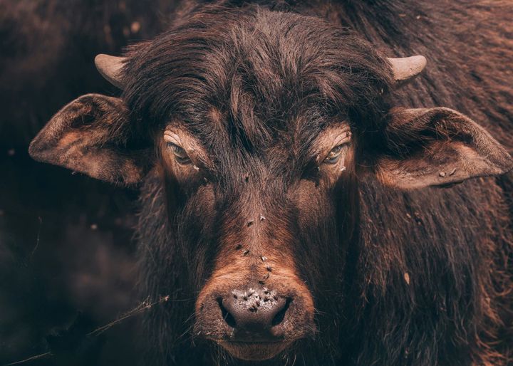 Busted: The Myth of Being Busy