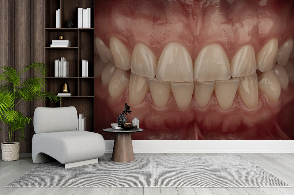 Welche Kamera ist die richtige für die Dentalfotografie?