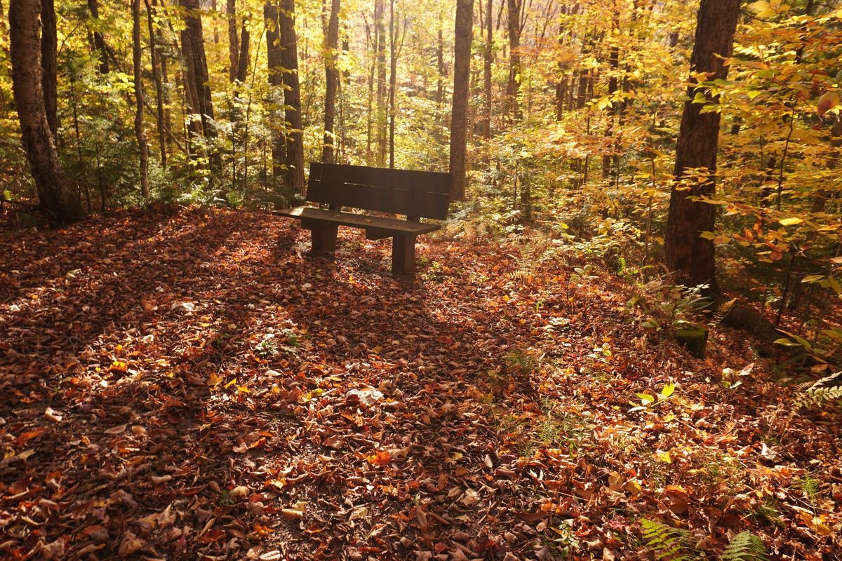 Scrawl 016 A​lterous​ love