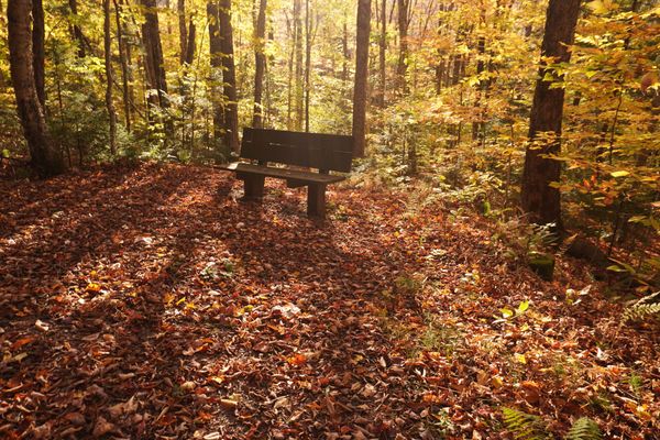 Scrawl 016 A​lterous​ love