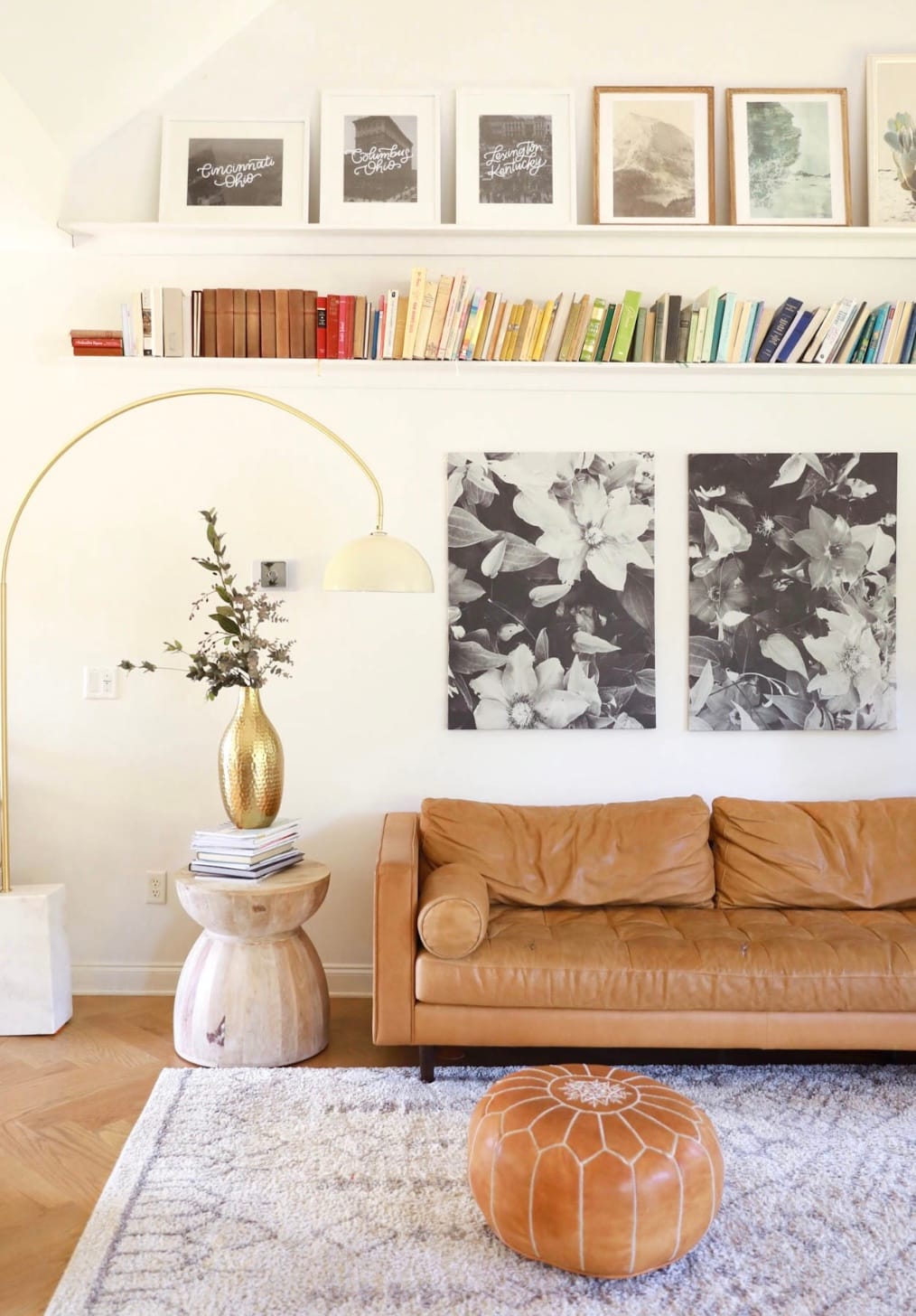 Modern style living room with books arranged by color above a brown leather couch