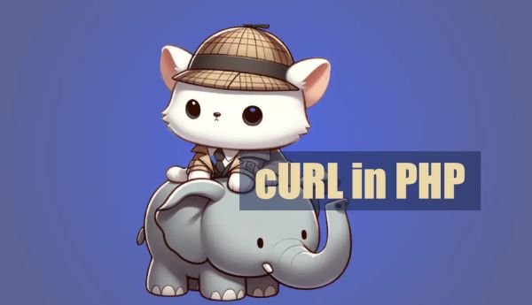 How to use cURL in PHP