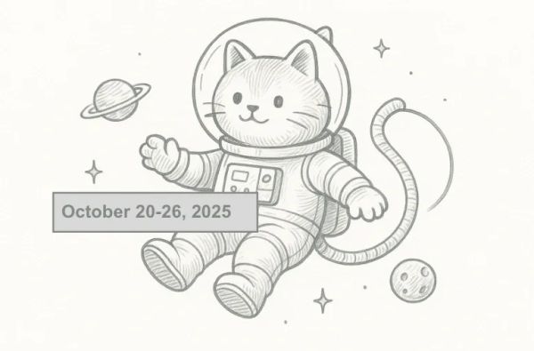 SerpApi Weekly Changelog: October 20–26, 2025