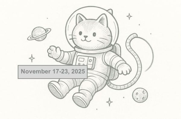 SerpApi Weekly Changelog: November 17-23, 2025