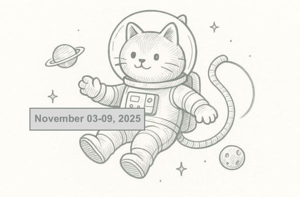 SerpApi Weekly Changelog: November 03-09, 2025