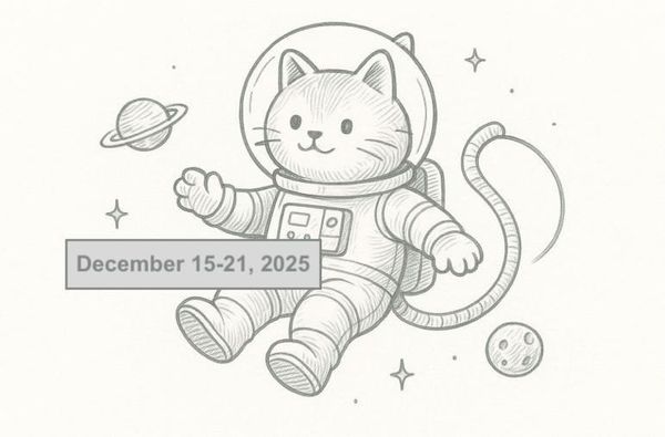 SerpApi Weekly Changelog: December 15-21, 2025