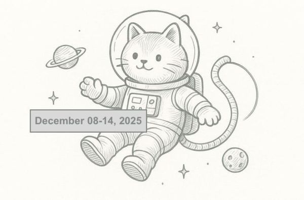 SerpApi Weekly Changelog: December 08-14, 2025