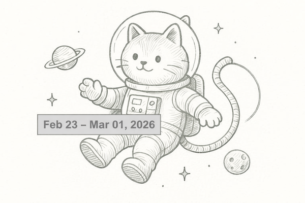 SerpApi Weekly Changelog: February 23 - March 01, 2026