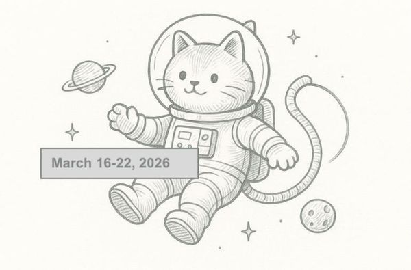 SerpApi Weekly Changelog: March 16-22, 2026