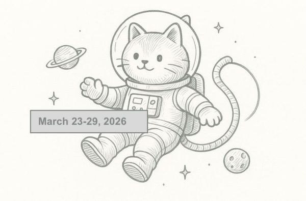 SerpApi Weekly Changelog: March 23-29, 2026