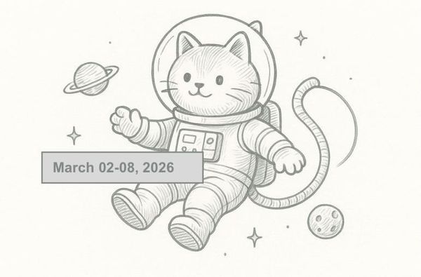 SerpApi Weekly Changelog: March 02-08, 2026