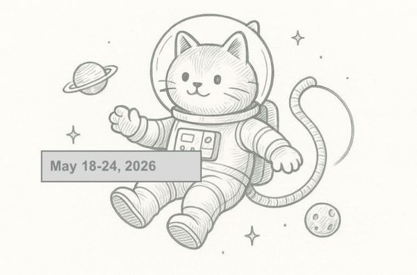 SerpApi Weekly Changelog: May 18-24, 2026