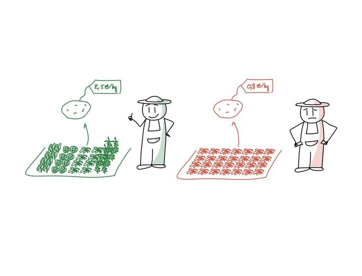 Quelques enjeux de l'agriculture