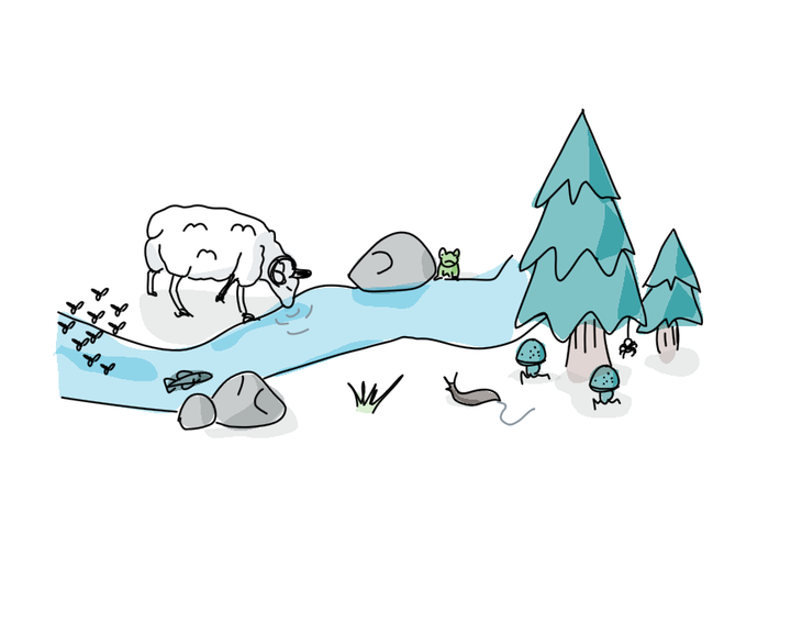 L'eau liquide, molécule clé du vivant