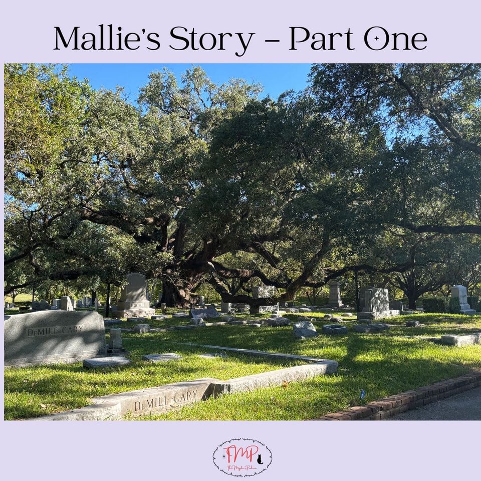 Mallie's Story - Part One
