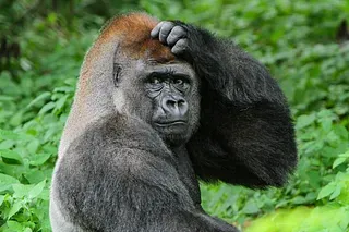 ABM vs DemandGen - What's the deal?