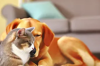 ABM Requires Patience and Persistence