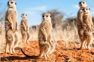 Maybe ABM isn't for you 🤔