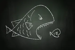 We're not BIG fish 🐟