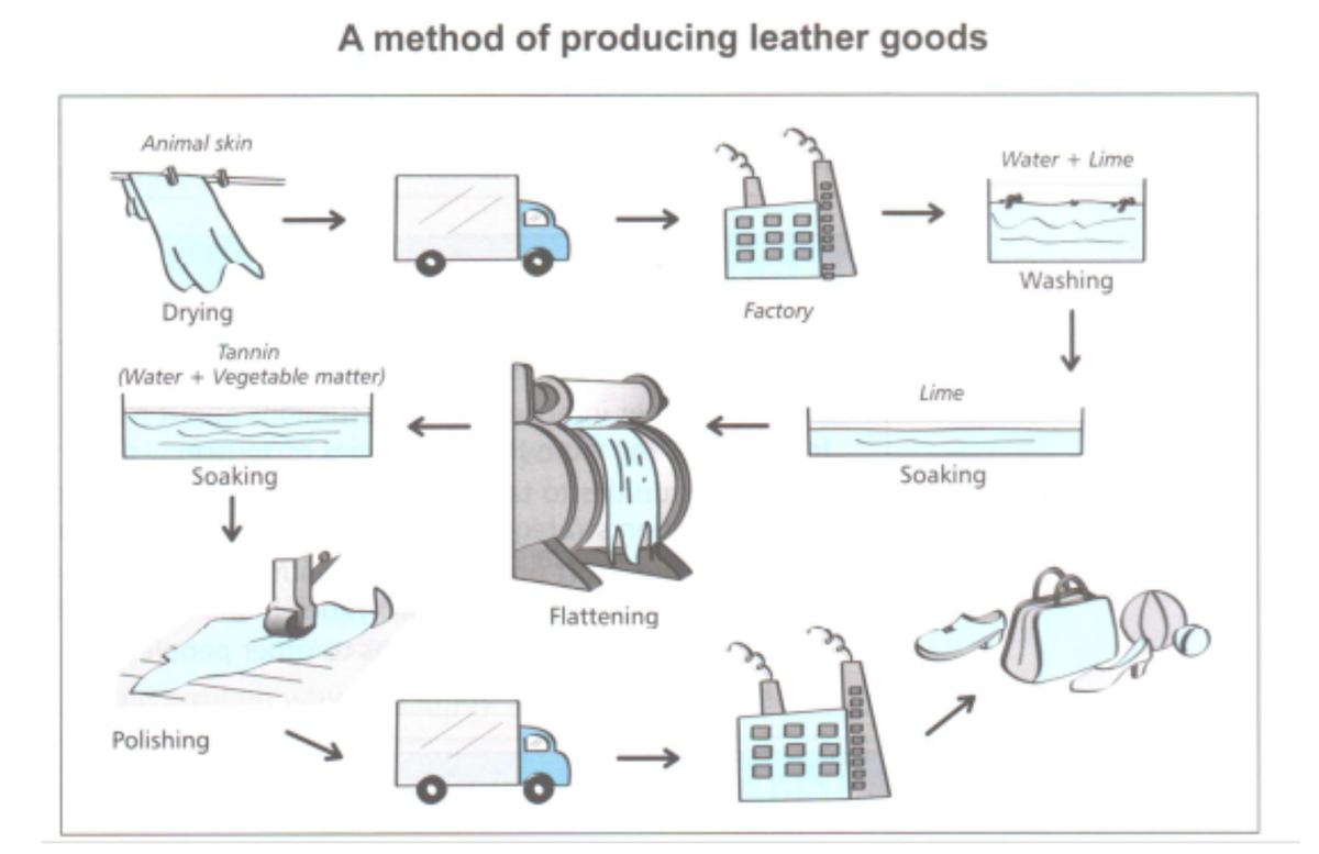Step-by-step process of how leather goods are made. Used to represent describing a process in this IELTS writing course.