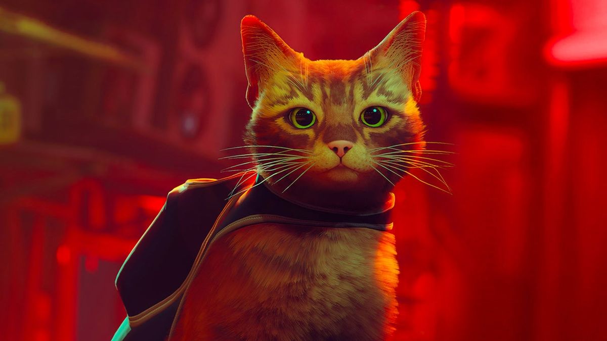 Stray Review