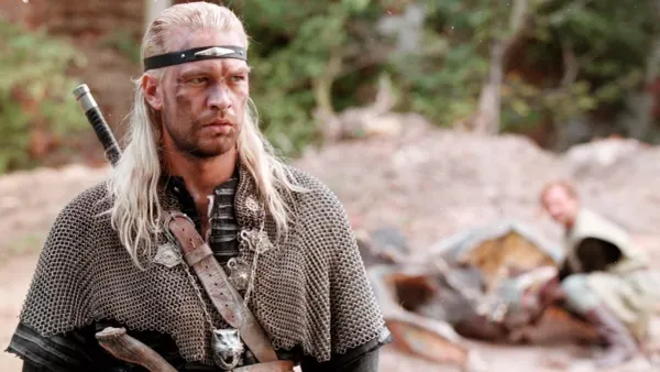 the witcher