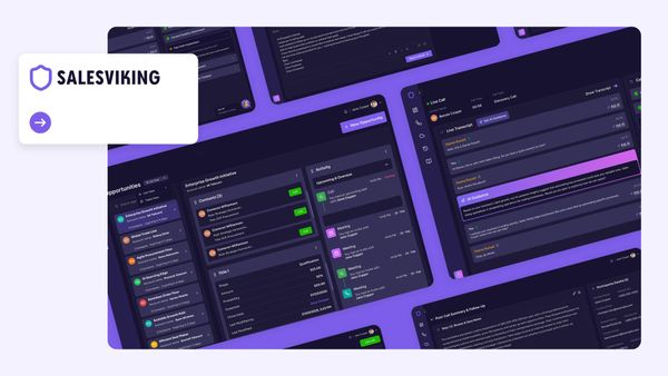 SalesViking – The Ultimate Tool to Dominate B2B Lead Generation