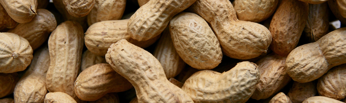 Peanut Allergies